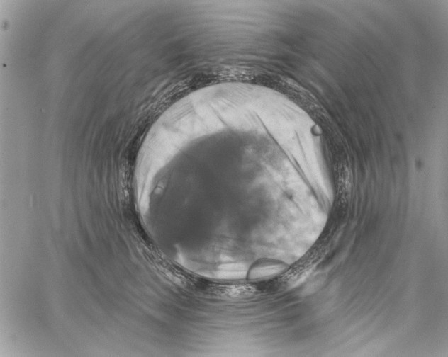 X0000061750663200512302239