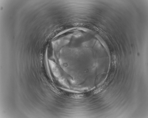 X0000061750664200512302239