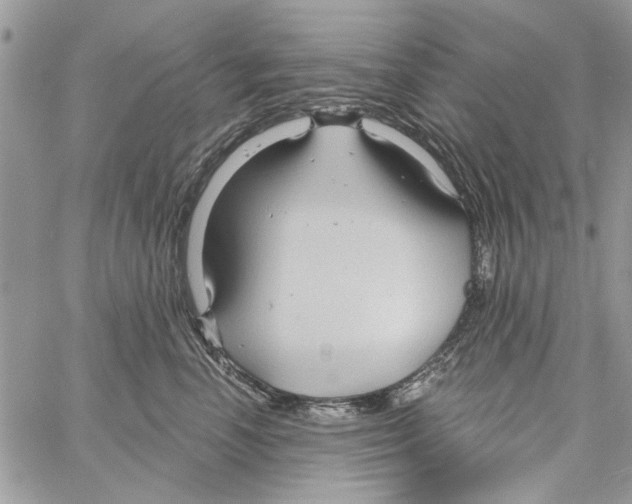 X0000061750666200512302239