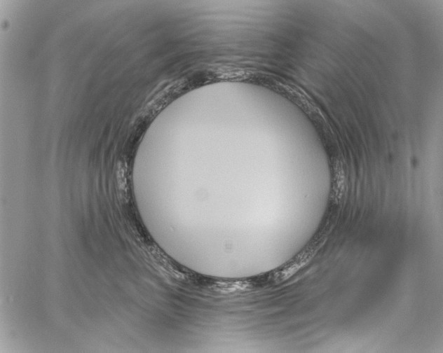 X0000061750667200512302239