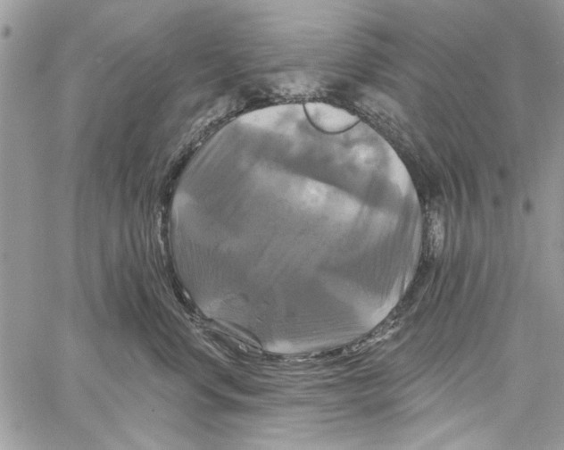 X0000061750668200512302239