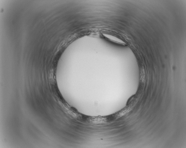 X0000061750670200512302239