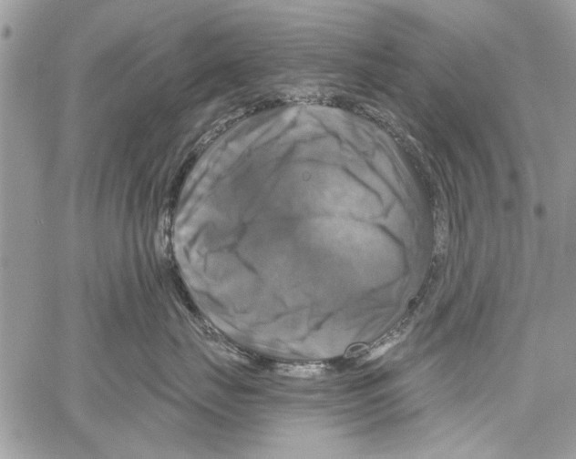 X0000061750671200512302239