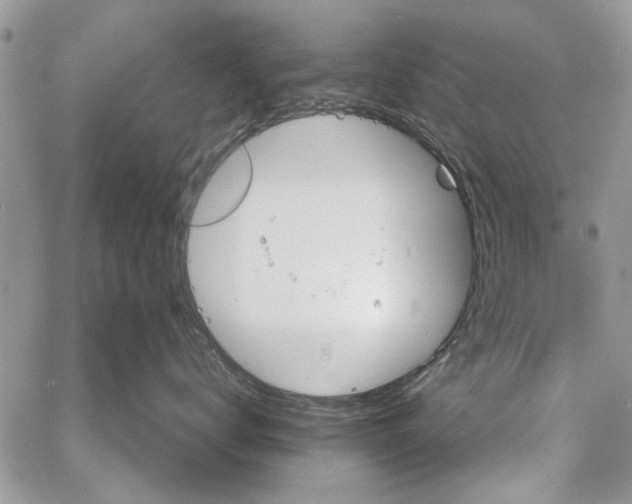 X0000061750672200512302239