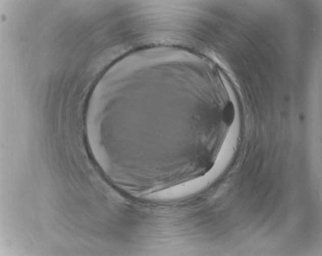 X0000061750673200512302238