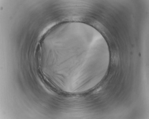 X0000061750674200512302238