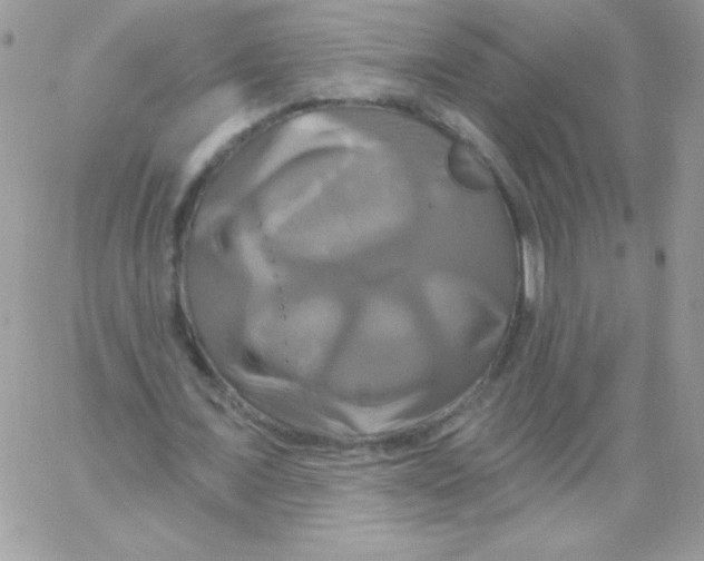 X0000061750675200512302238