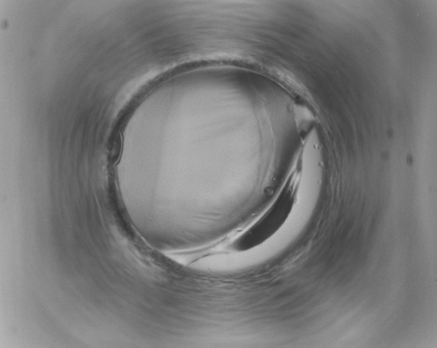 X0000061750676200512302238