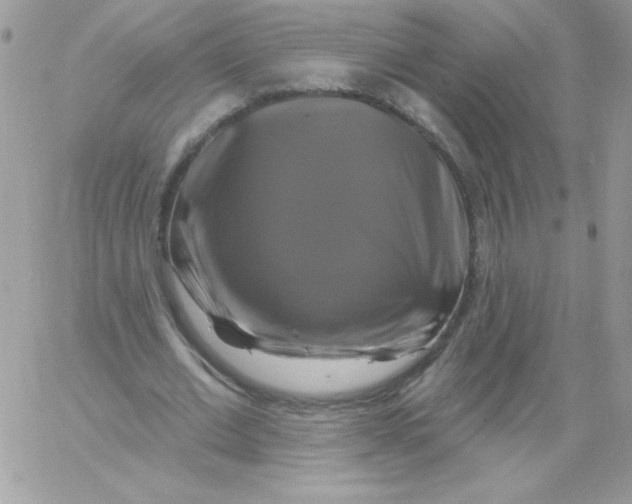 X0000061750677200512302238