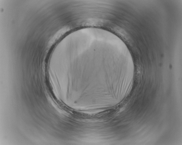 X0000061750678200512302238