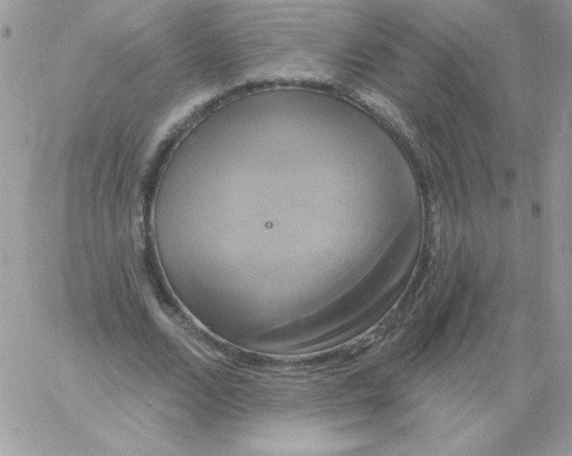 X0000061750680200512302238