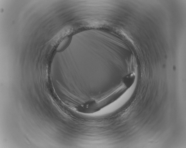 X0000061750685200512302238