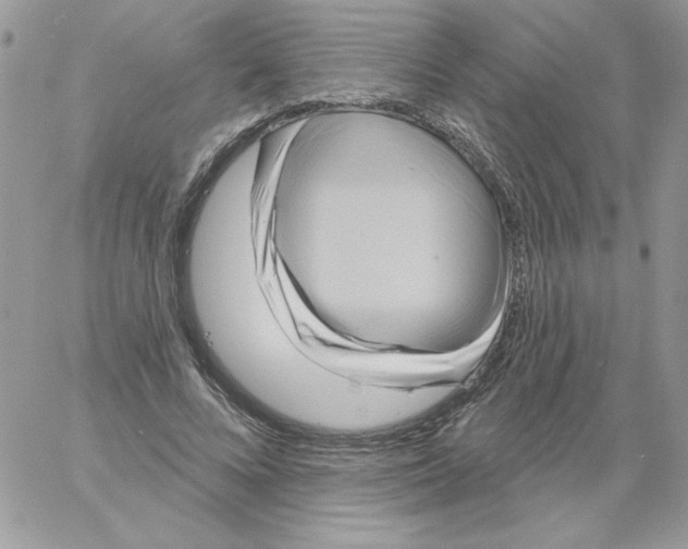 X0000061750688200512302238