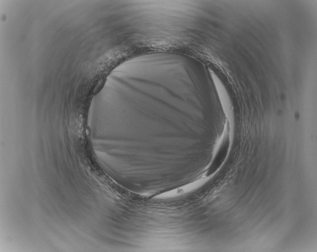 X0000061750689200512302238