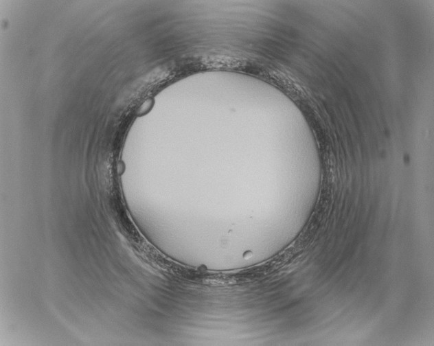 X0000061750690200512302238