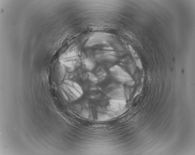 X0000061750691200512302238