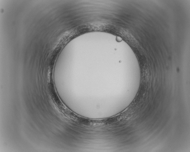 X0000061750694200512302238