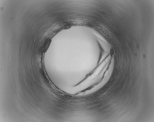 X0000061750696200512302238