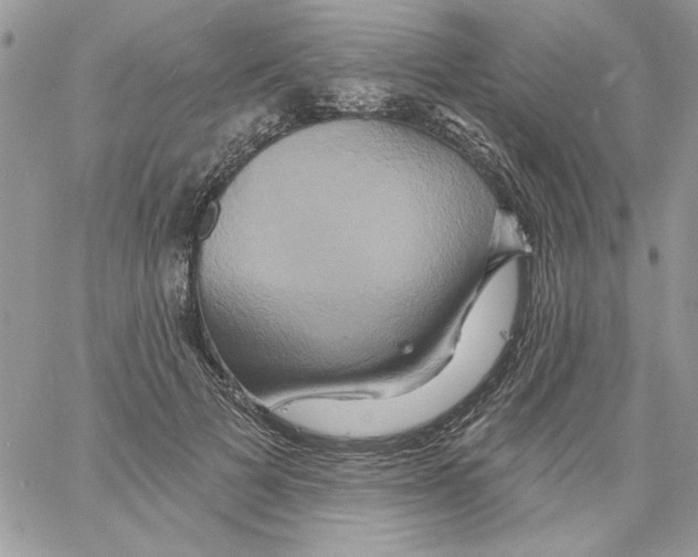 X0000061750697200512302238