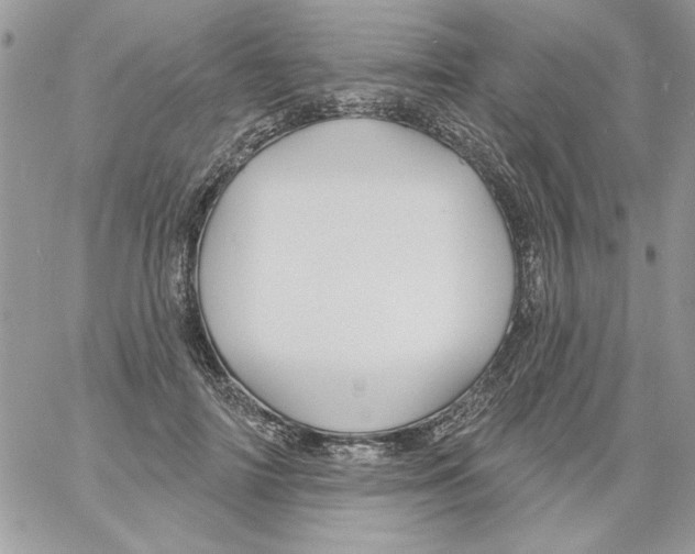 X0000061750698200512302238