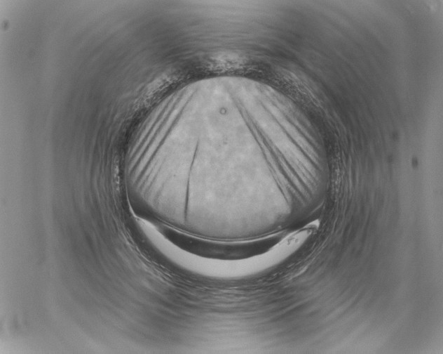 X0000061750700200512302238