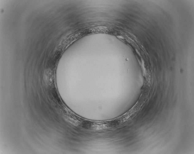 X0000061750701200512302238