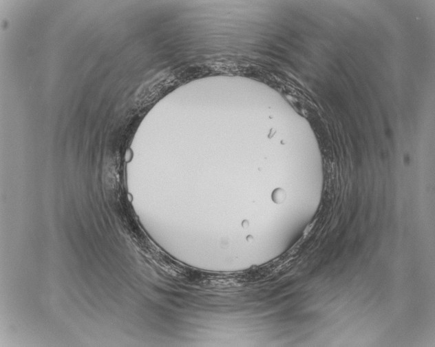 X0000061750702200512302238