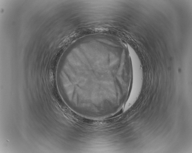 X0000061750704200512302238