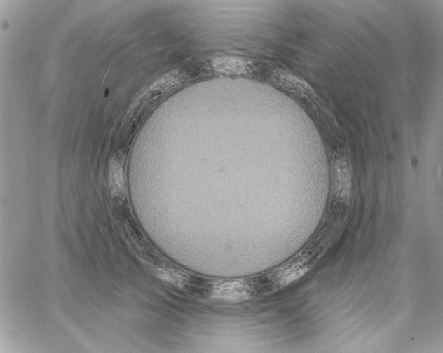 X0000061750705200512302238