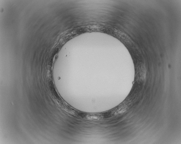 X0000061750706200512302238