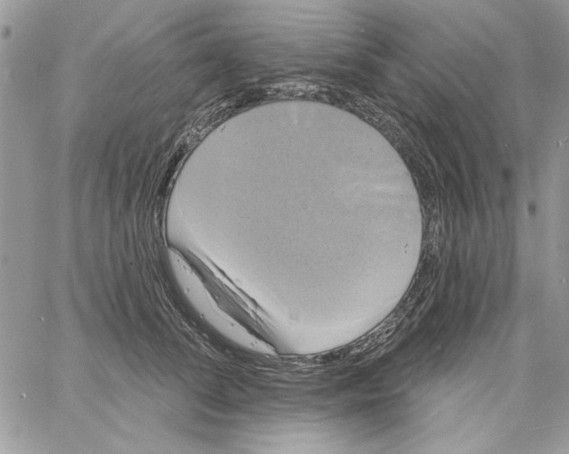 X0000061750708200512302238