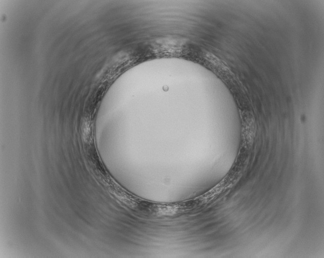 X0000061750709200512302238