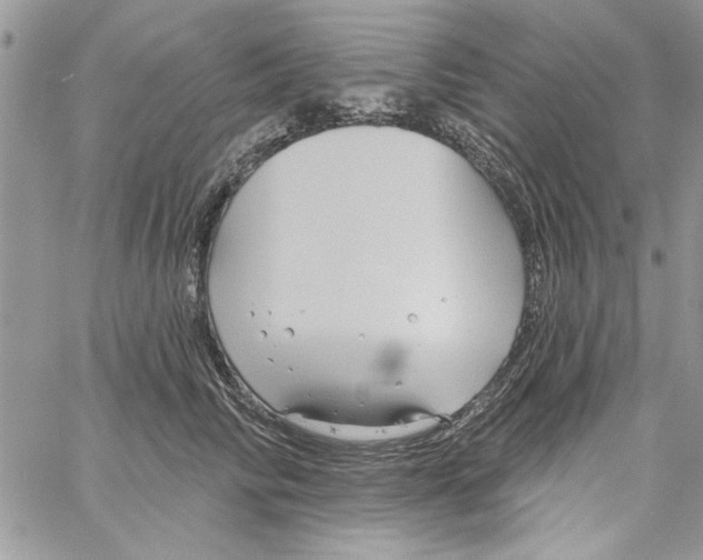 X0000061750710200512302238