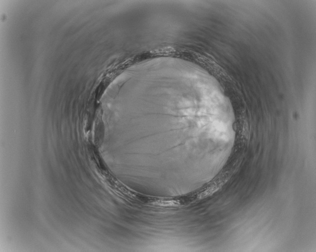 X0000061750711200512302238