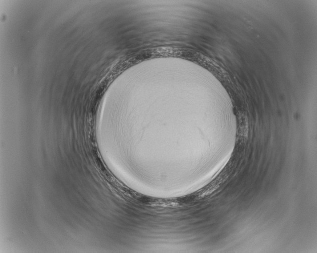 X0000061750712200512302238