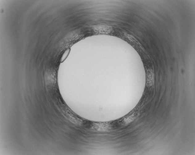 X0000061750713200512302238