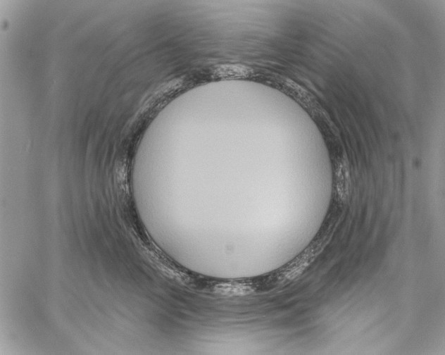 X0000061750714200512302238