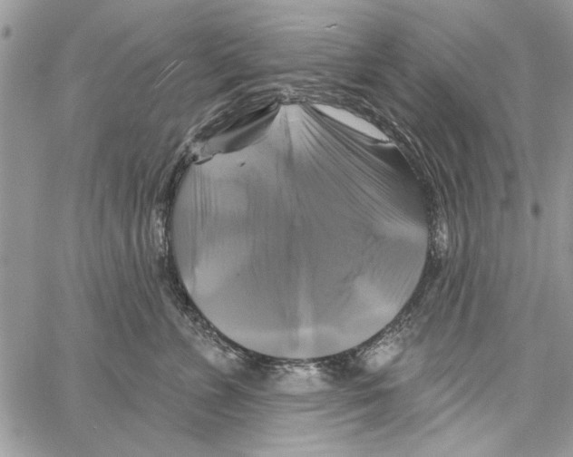 X0000061750715200512302237