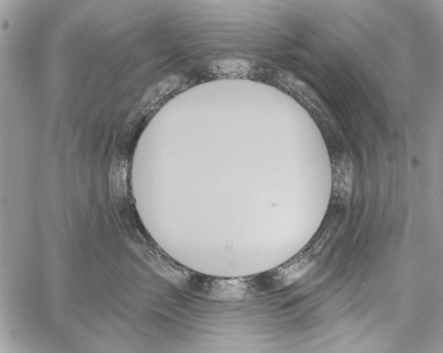 X0000061750717200512302237