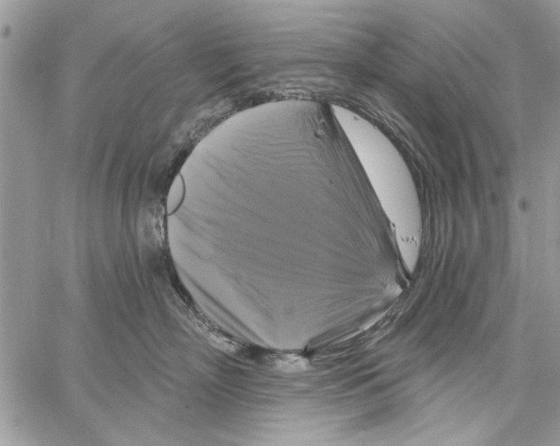 X0000061750718200512302237