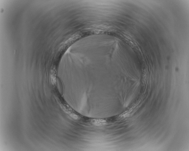 X0000061750719200512302237