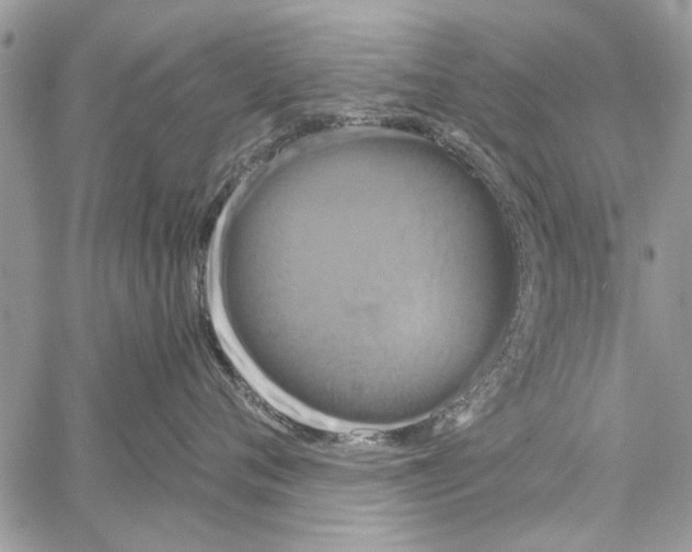 X0000061750720200512302237