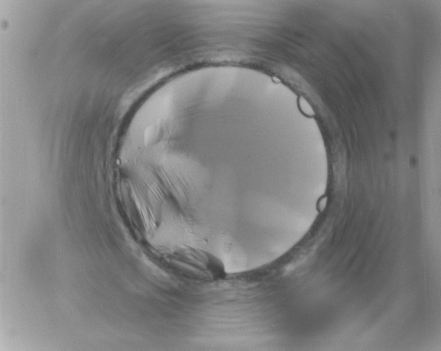 X0000061750721200512302237