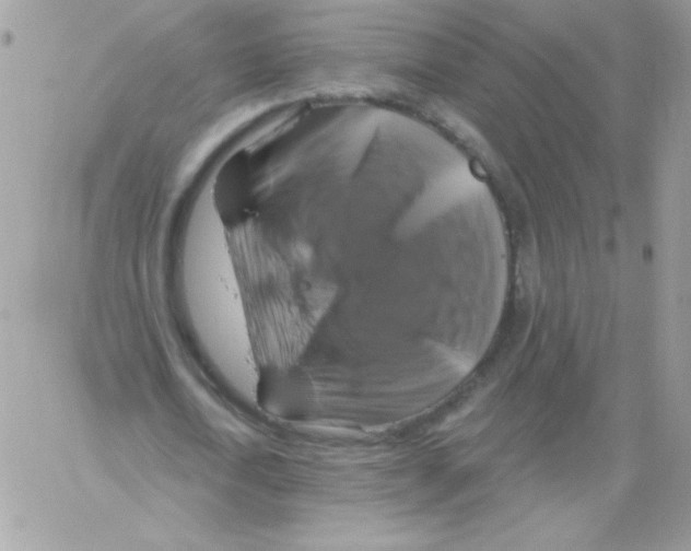 X0000061750722200512302237