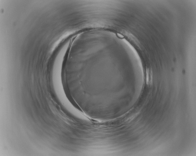 X0000061750723200512302237