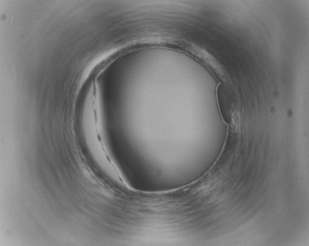 X0000061750724200512302237