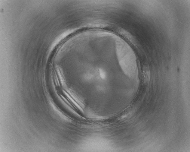 X0000061750726200512302237