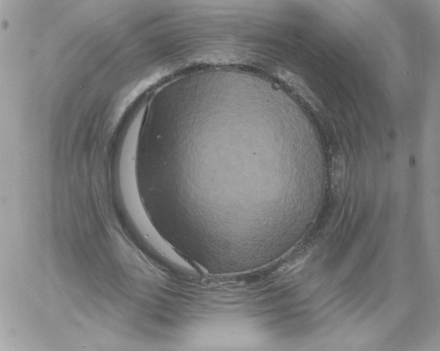 X0000061750727200512302237