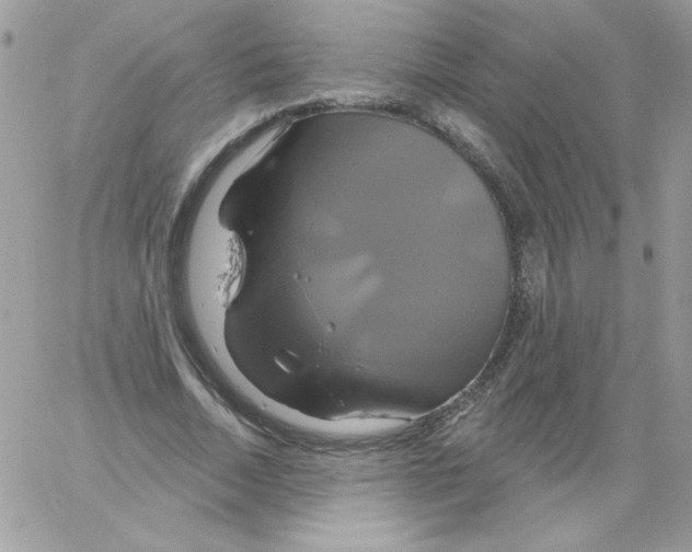 X0000061750730200512302237