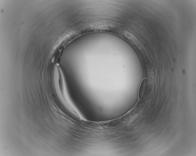 X0000061750731200512302237